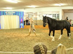 IMG_5185_web